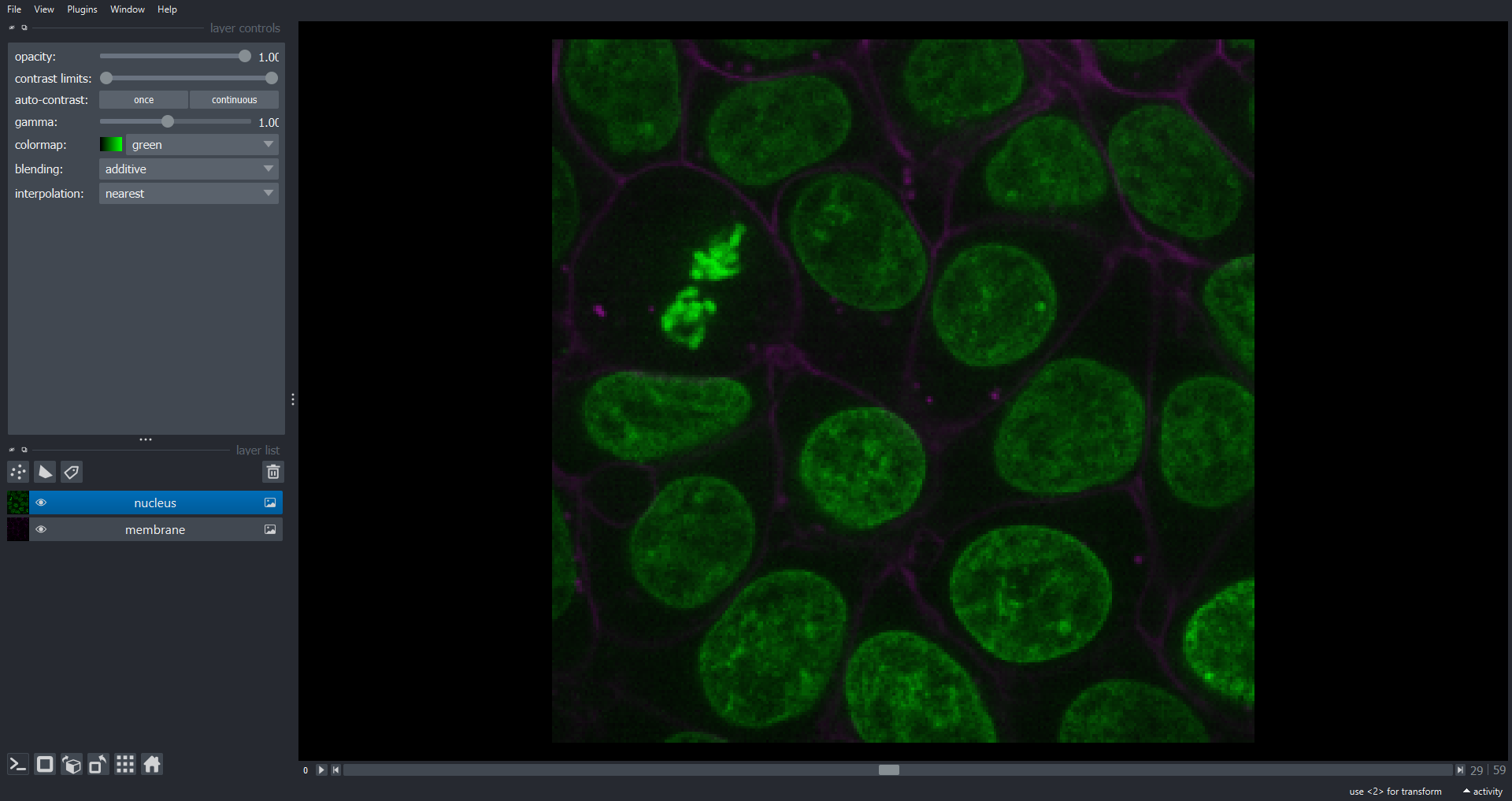 cell3d slice napari ss