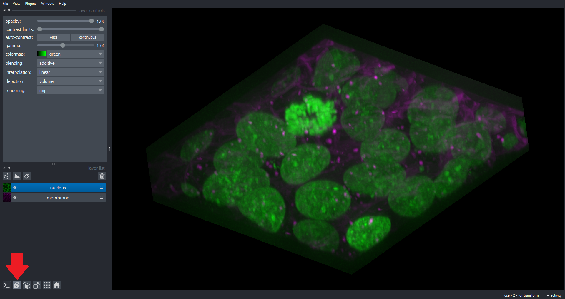 cell3d volume napari ss